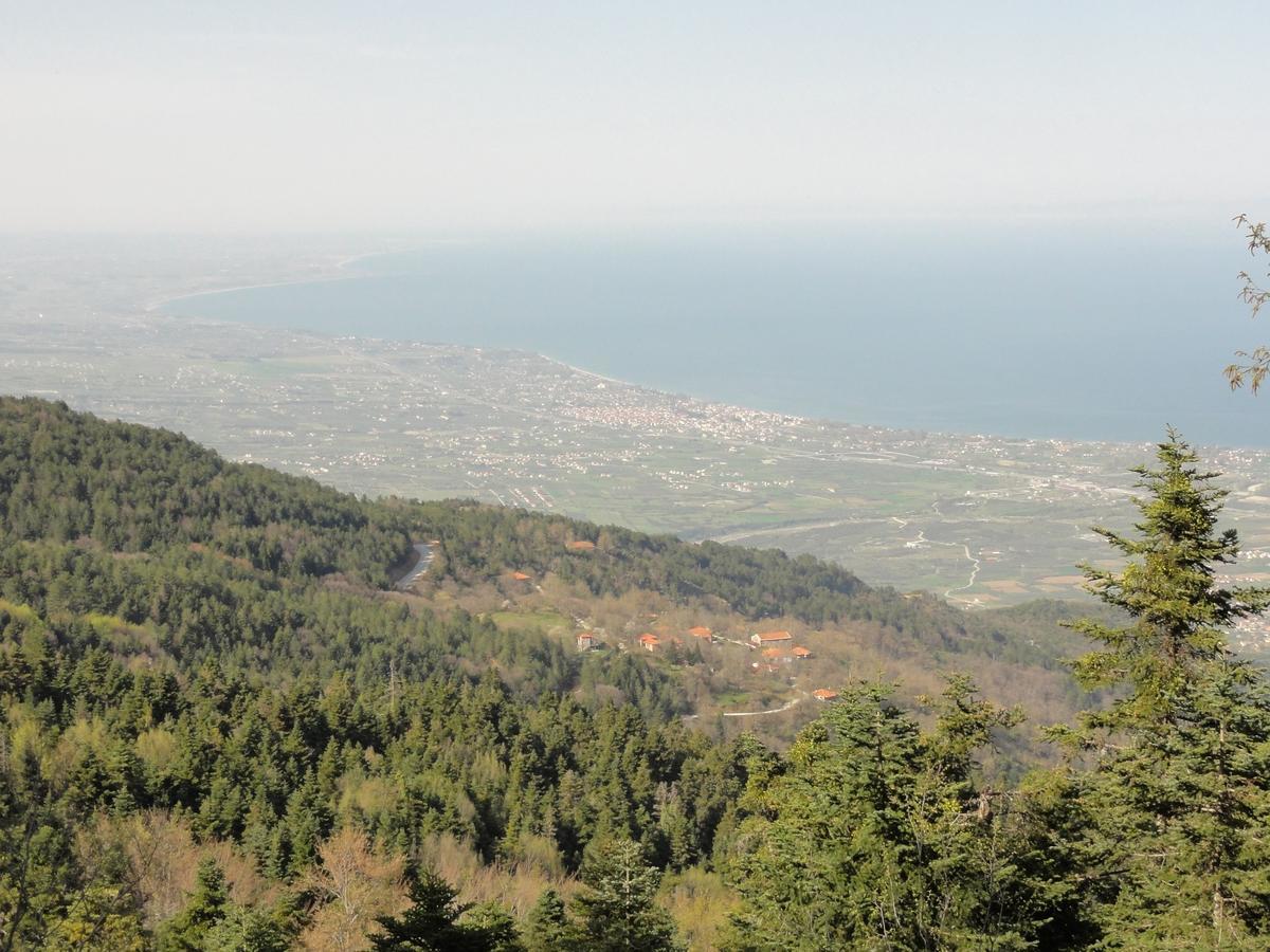 Sintrivanis Mountain Ano Skotina 외부 사진